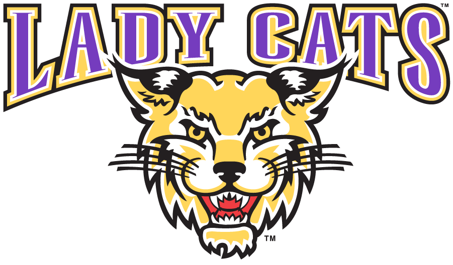 Western Carolina Catamounts 2003-2008 Secondary Logo diy DTF decal sticker